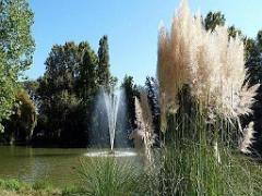 183 D35 PARC OLBIUS RIQUIER A HYERES_000028